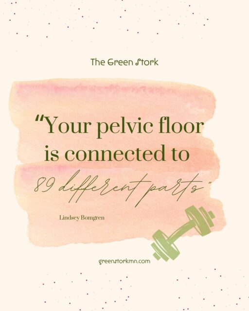 If you know me, you know I’m passionate about preserving your pelvic floor for the long haul. 💪
Today in my workout, the instructor — Lindsey Bomgren from @nourishmovelove — dropped this mind-blowing fact: "Your pelvic floor connects to 89 different parts of your body."EIGHTY-NINE! 😲This is exactly why we need to take care of it. Strength in your core, back, and glutes — it all matters. Everything is interconnected.It’s also why I passionately educate (and yes, beg!) my postpartum clients to prioritize rest in those first 5–10 days after birth. Your pelvic floor needs time to knit back together before it can support all your inner organs again. Jumping back into upright time, walking around the house, or "getting back to life" by day 3? That’s not doing your 60-70-year-old self any favors.This is why, as a whole, we need to rally around and better support our postpartum friends and new moms. I know it’s not possible for everyone, but I pray you can build a strong community that gives your pelvic floor the healing time it deserves — before it has to handle a full day of lifting, carrying, and life.Your future self will thank you. ❤️What’s one way you’ve supported (or been supported by) your village postpartum? Drop it below — let’s inspire each other!#PelvicFloorHealth #PostpartumRecovery #CoreStrength #GreenStorkMN #NourishMoveLove