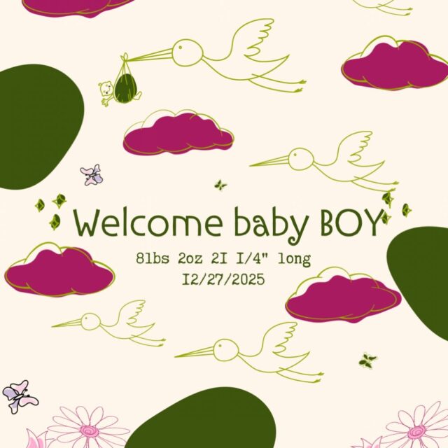 “This sweet little chunk had me rushing out the door-fresh from the shower, wet hair, no socks! 😅💦Dad called just in time: ‘She’s feeling pushy!’ Thankfully, I always keep extras in the car, and I arrived with plenty of time to welcome this precious one earthside.Midwifery never ceases to amaze me-the urgency, the magic, the pure joy of it all.Welcome to the world, little one! ✨ So grateful to be part of your arrival, bringing those cozy winter baby snuggles at just the right time.
“ЧomeBirth #NewbornJoy #winterbabies #GreenStorkMN #Waterbirth