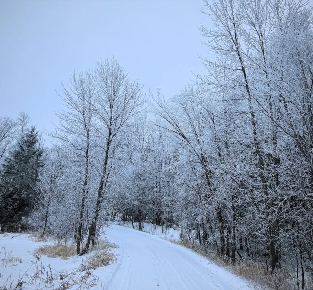 Today’s 24 hr check did not disappoint.  Slow and steady got me there on the icy roads with no problems.  The trees were a major distraction.  #midwifery #bemidjimidwife #greenstorkmn #homevisit #sweetboy