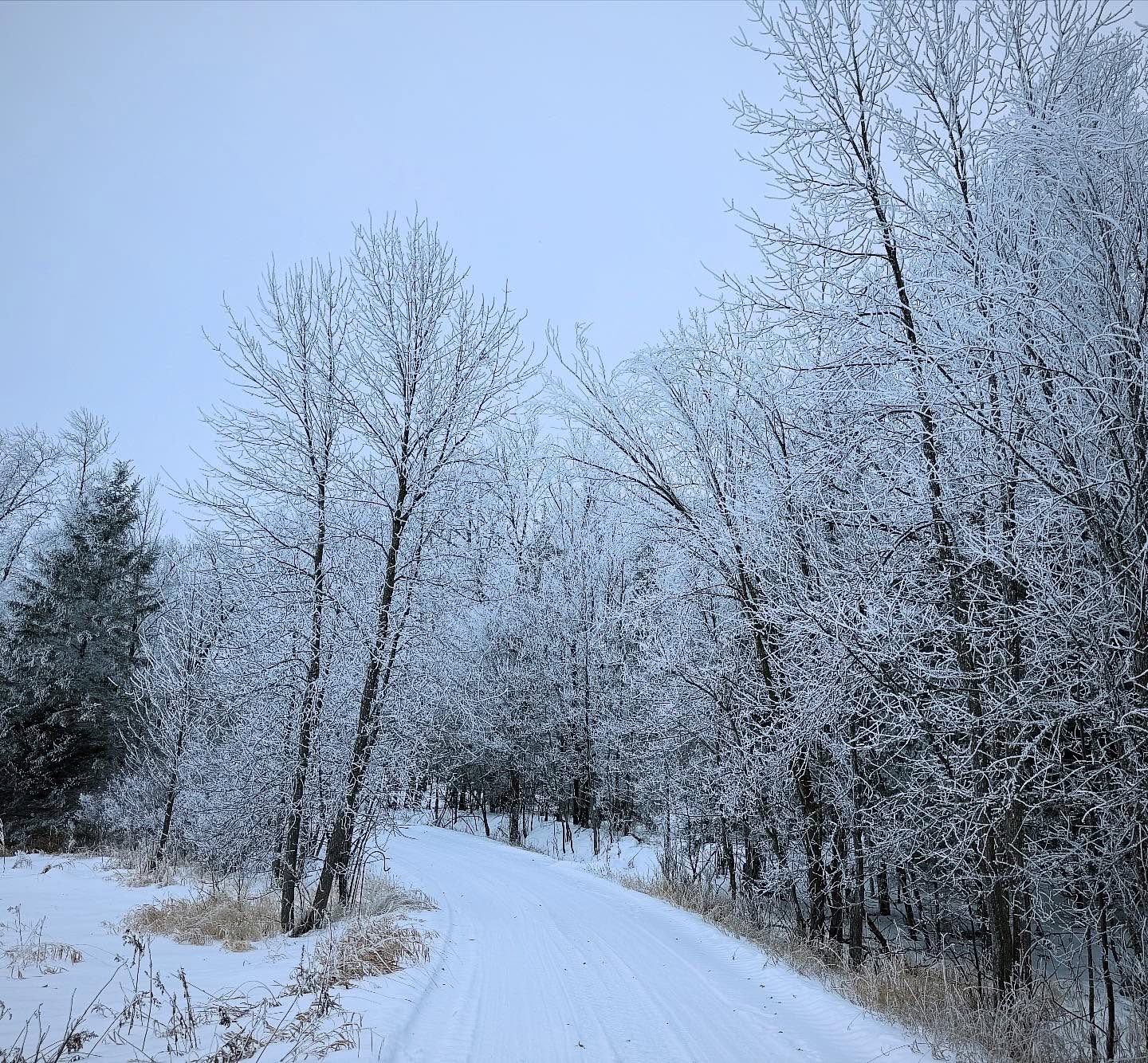Today’s 24 hr check did not disappoint.  Slow and steady got me there on the icy roads with no problems.  The trees were a major distraction.  #midwifery #bemidjimidwife #greenstorkmn #homevisit #sweetboy