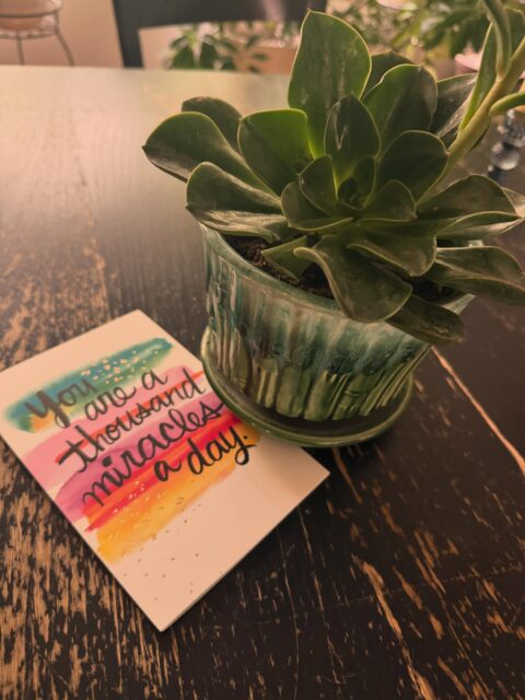 One of the reasons I became a doula, turned Certified Professional Midwife, is because I remember how much it meant when someone showed up for me during the postpartum season. I’ve always hoped to offer that same support to the families I serve.Receiving this thoughtful gift and heartfelt note from a mama I’ve had the privilege of caring for is such a beautiful reminder that sometimes the most meaningful support is simple—a listening ear, a quick response to a text, reassurance during a hard moment, or a shoulder to lean on.I’m so grateful for the trust my clients place in me and honored to walk alongside them through pregnancy, birth, and postpartum. 💚Supporting mothers through pregnancy, birth, and postpartum is a privilege I’ll never take for granted. Thank you for allowing me to be part of your journey. 🌿🤍#GreenStorkMN #Midwifery #Homebirth #Waterbirth #PostpartumSupport